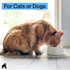 image:imageGORILLA GRIP Dog Food Mat 100 Waterproof Silicone 185x115 GrayLight Gray
