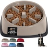 image:imageGORILLA GRIP Patented Slow Feeder Dog and Cat Bowl BPA Free 2 Cup GrayBeige