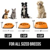 image:imageGORILLA GRIP Patented Slow Feeder Dog and Cat Bowl BPA Free 2 Cup GrayOrange